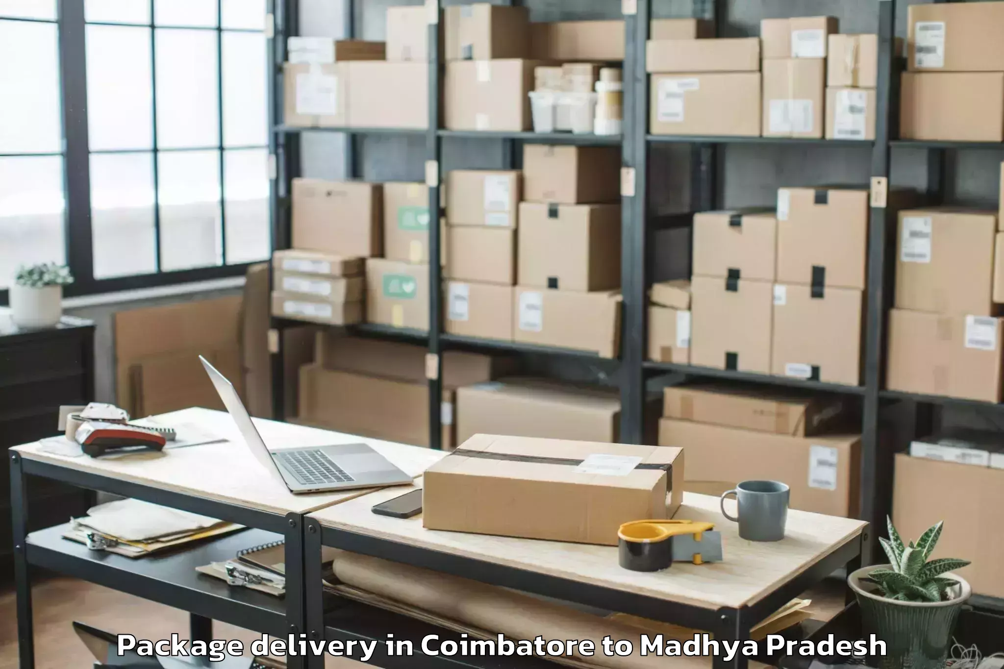 Book Coimbatore to Punasa Package Delivery